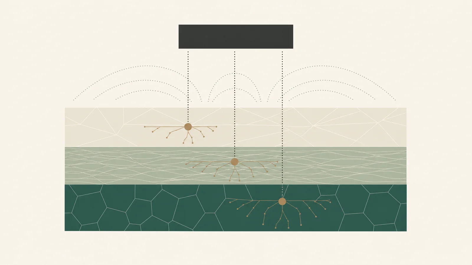 Educational diagram of adjustable depths